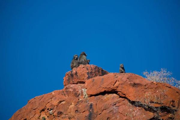 Waterberg Resort - 190404