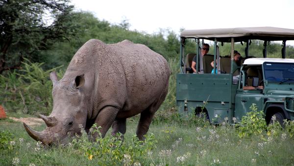 Waterberg Wilderness Private Nature Reserve - 190419