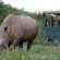 Waterberg Wilderness Private Nature Reserve - 190419