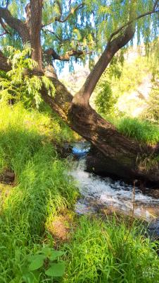 Ash River Lodge - 190629