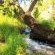Ash River Lodge - 190629