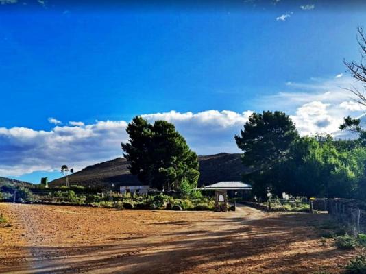 Aarfontein Karoo Hoogland - 190663