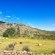 Aarfontein Karoo Hoogland - 190683