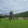 Mansfield Private Reserve - 190723