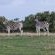 Mansfield Private Reserve - 190728