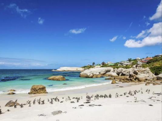 Boulders Beach Villa - 190941