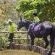 The Cavern Drakensberg Resort - 191711