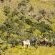 The Cavern Drakensberg Resort - 191725