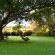 Selati 103 Guest Cottages - 192042