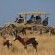 Botlierskop Private Game Reserve - 192053
