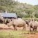 Botlierskop Private Game Reserve - 192055