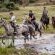 Botlierskop Private Game Reserve - 192056