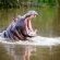 Botlierskop Private Game Reserve - 192057