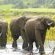 Botlierskop Private Game Reserve - 192064