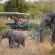 Jock Safari Lodge - 192116