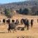Sambane Game Lodge - 192168