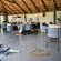 Sambane Game Lodge - 192174