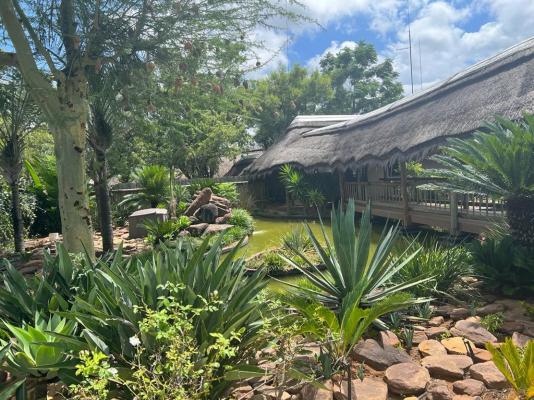 Sambane Game Lodge - 192178
