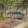 Babananago Game Reserve - Babanango Valley Lodge - 192296