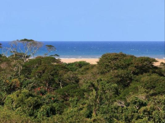The St Lucia Eco Lodge - 192306