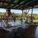 The St Lucia Eco Lodge - 192311