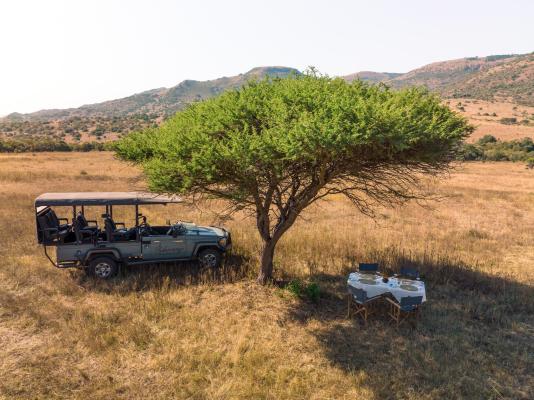 Babananago Game Reserve - Babanango Valley Lodge - 192425