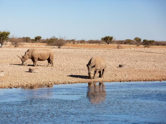 Lapa Lange Game Lodge - 192580