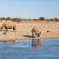 Lapa Lange Game Lodge - 192580