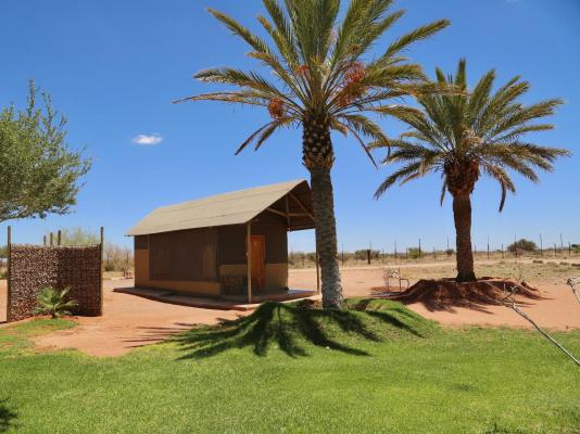Lapa Lange Game Lodge - 192597