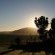 Dusk to Dawn - 192651