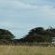 Inkwenkwezi Private Game Reserve - 193045