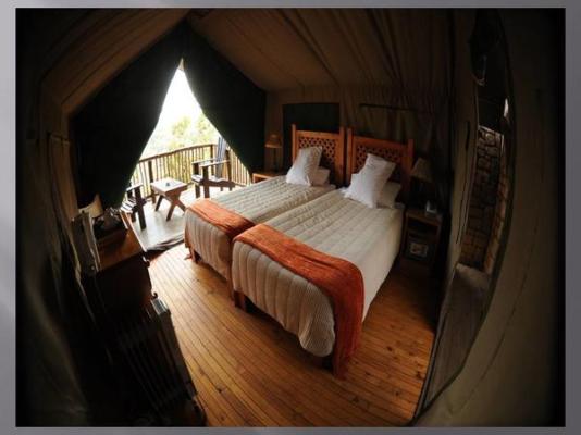 Room image 4