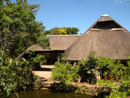 Inkwenkwezi Private Game Reserve - 193048