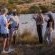 Babanango Game Reserve - Zulu Rock Lodge - 193945
