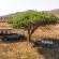Babanango Game Reserve - Zulu Rock Lodge - 193952