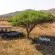 Madwaleni River Lodge - 193977