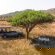 Madwaleni River Lodge - 193977