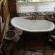Bhejane Game Reserve - 194044