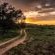 Bhejane Game Reserve - 194050