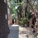 The Pot Faerie Glen Pretoria East - 194356