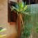 The Pot Faerie Glen Pretoria East - 194357