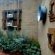 The Pot Faerie Glen Pretoria East - 194358