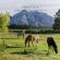 Slanghoek Mountain Resort - 194444