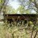 Bushveld Bivouac - 194588