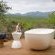 Bushveld Bivouac - 194599