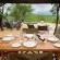 Bushveld Bivouac - 194620