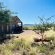 Little Sossus Lodge - 194707
