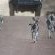 Motswiri Private Safari Lodge - 194781