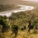 mFulaWozi - 194816