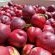 Nectarines